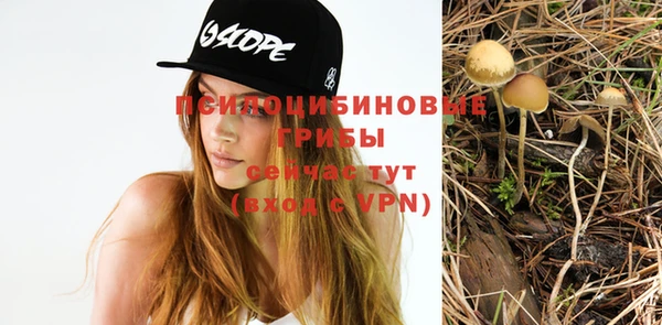 mdpv Аркадак