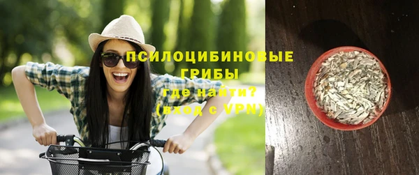 метадон Арсеньев