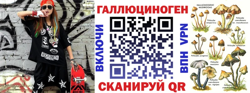 Галлюциногенные грибы Psilocybe  Гурьевск 